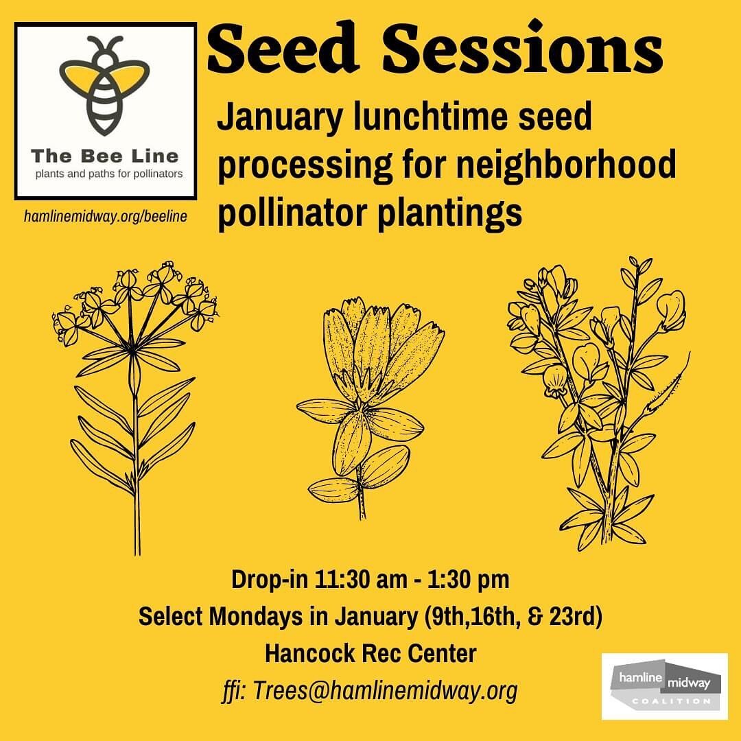 The Bee Line 
January Lunchtime Seed Sessions 2023

11:30 am - 1:30 pm (drop-in)
Select Mondays in January (9th,16th, &amp;  23rd)
Hancock Rec Center, 1610 Hubbard Ave, St Paul, MN 55104

#TheBeeLine (#PierceButlerRoute) is looking for helpers this m