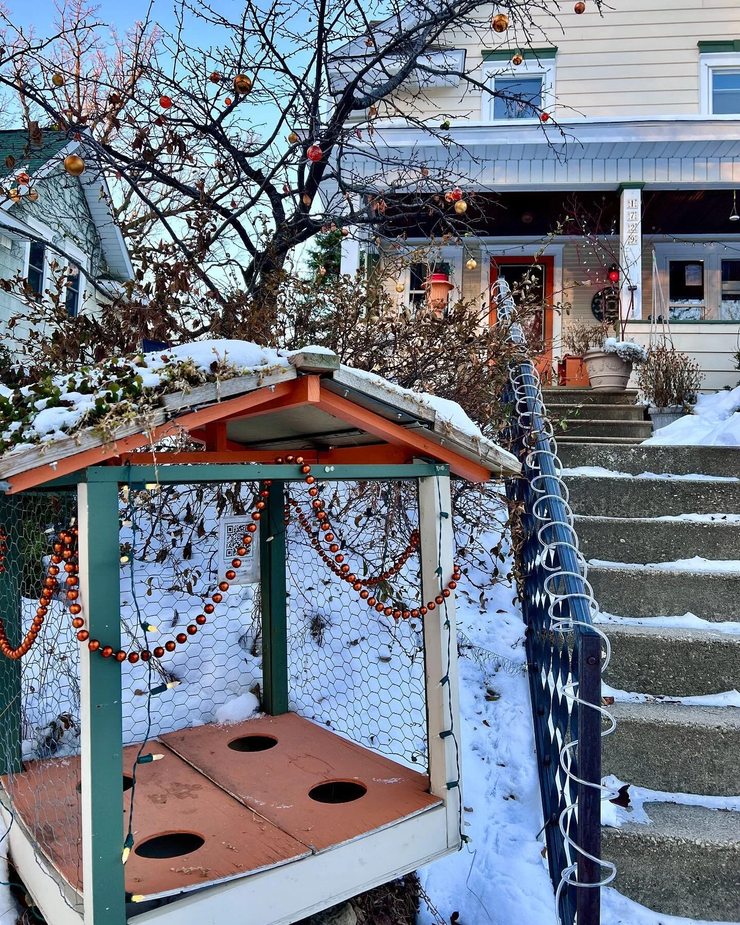 Happy Holidays! We are winter dreaming over here. Look for #seedsessions and #seedswap happening in January.

#littlefreeflorist @stephsckh