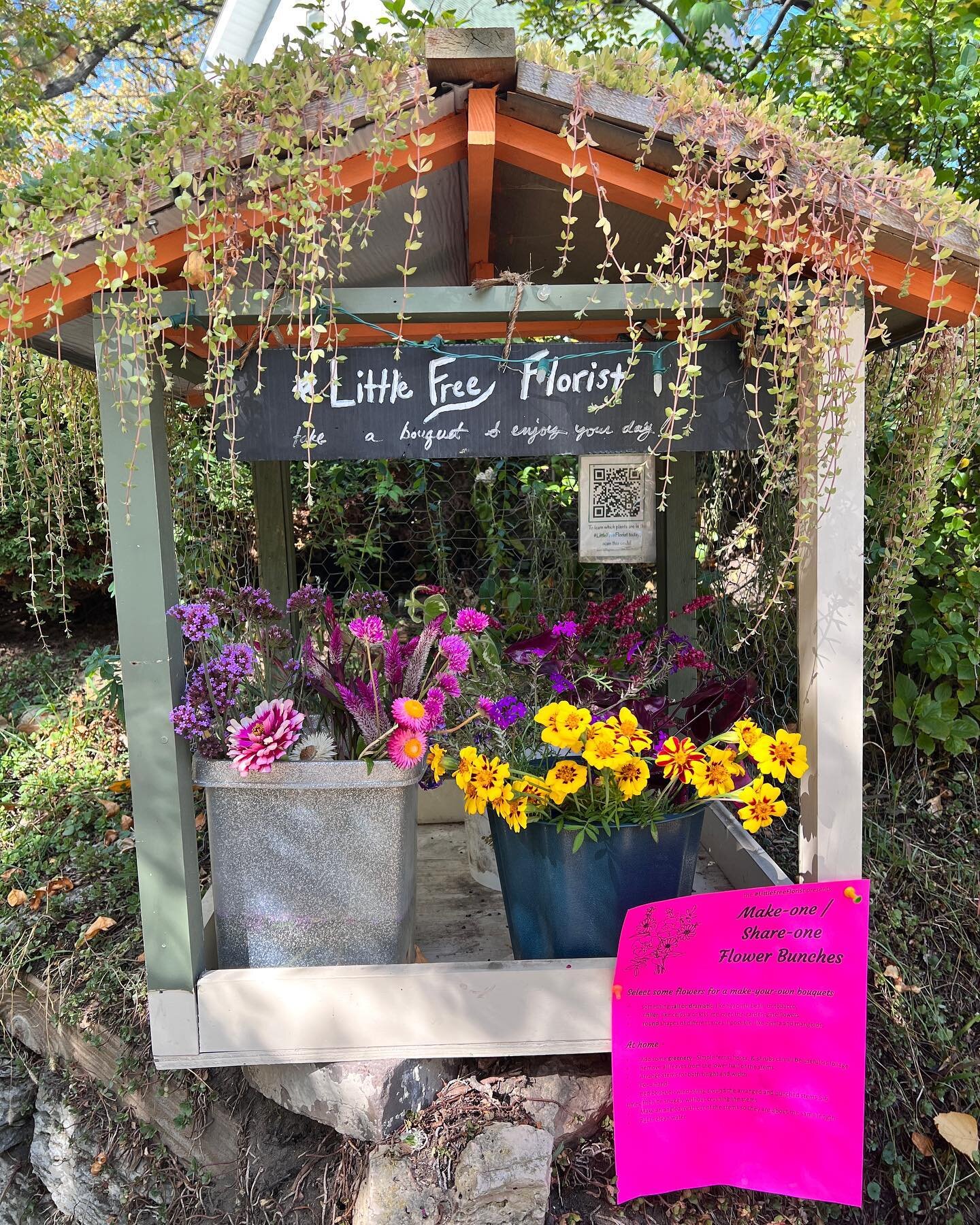 Restocking the #makeandtake mini bouquets stand. If you&rsquo;re local, stop by when you are out &amp; about!

#hamlinemidway #daybrightener #passoneon @stephsckh
