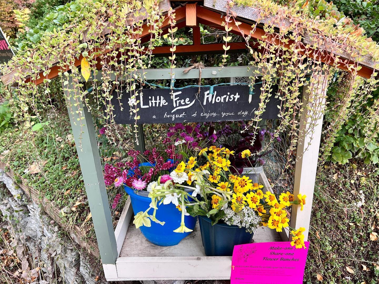 The last of the annual flowers have been cut! Something new for the #LittleFreeFlorist : A #makeyourownbouquet stand! Mix-and-match a few blooms and at home,  find a stem of leaves to add to your bunch. I&rsquo;d love to see your creations tagged on 
