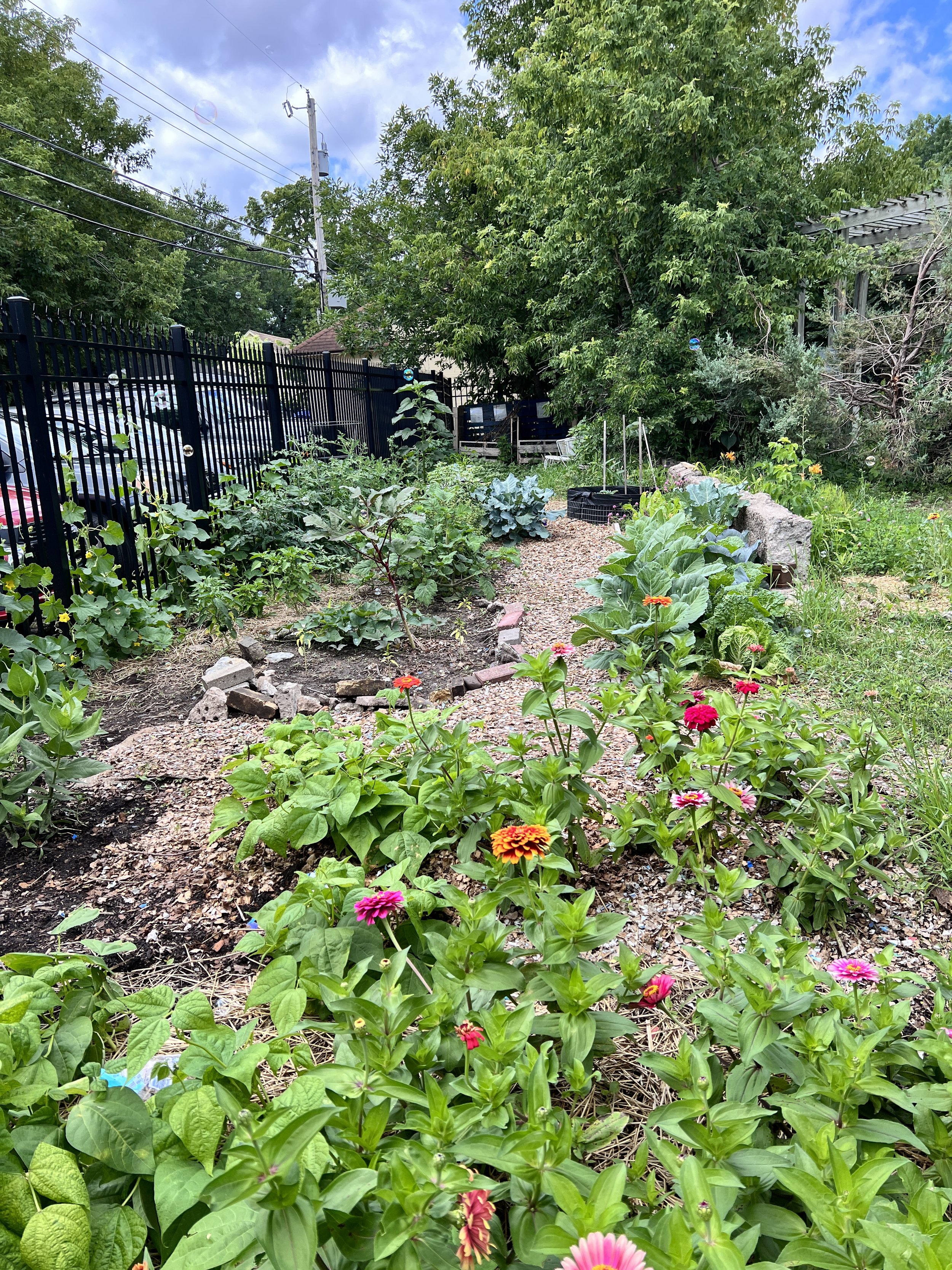 mulched garden at Dale St.JPG
