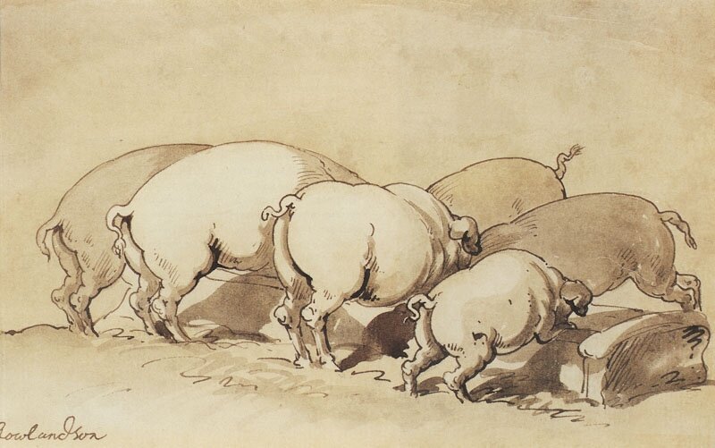 Pigs Eating by Thomas Rowlandson