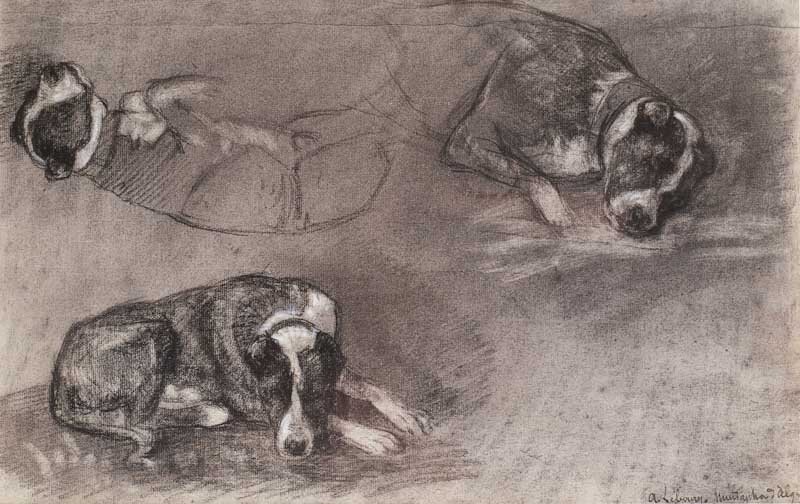 The Artists Dog by Albert Lebourge