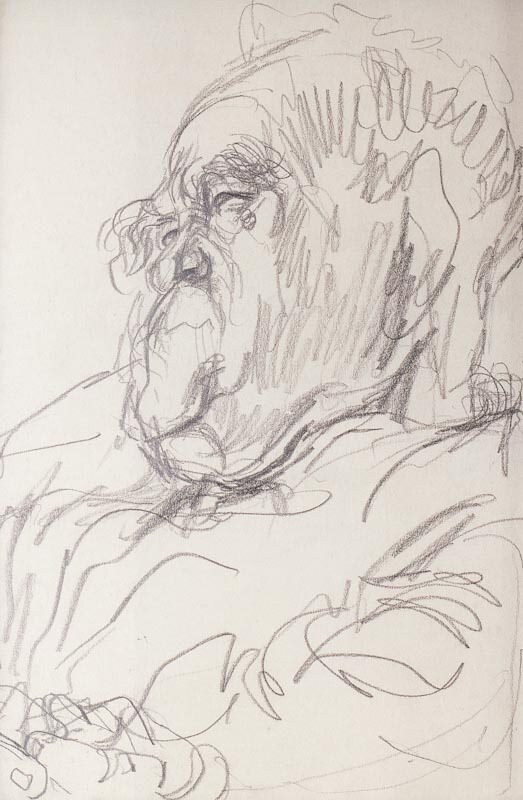 Portrait of Roy Welensky (politician) by Feliks Topolski