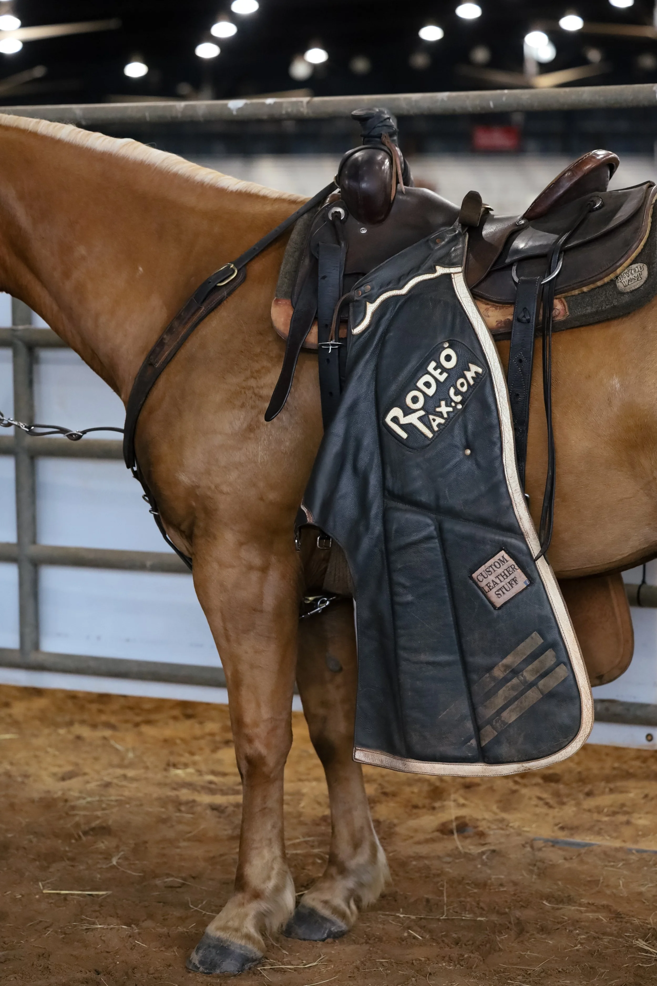 Close-up of a saddled brown horse, with a black saddle pad labeled 'Rodeo Taxi.com' and a leather saddle in a rodeo arena.