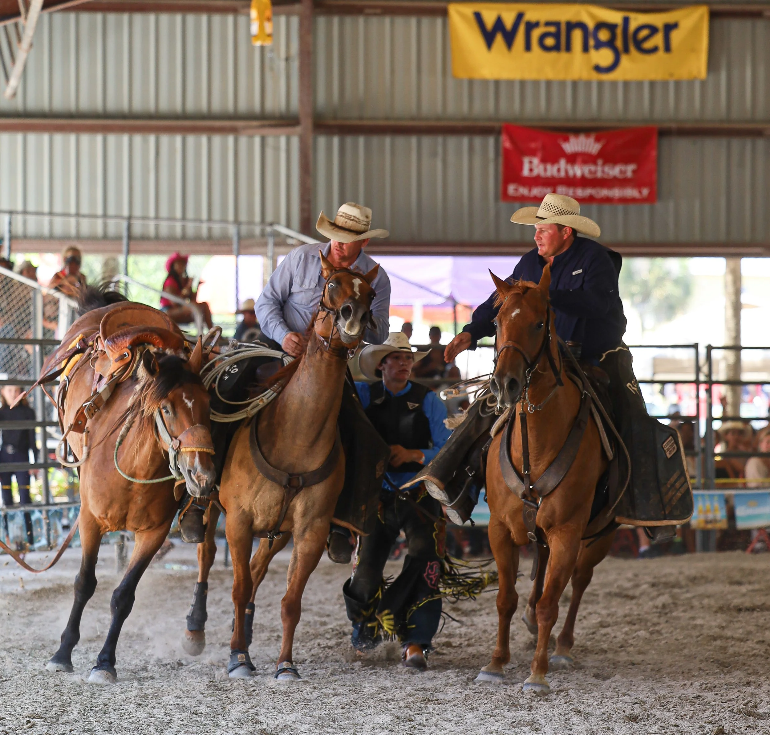 Pick up men on horseback in an indoor arena,