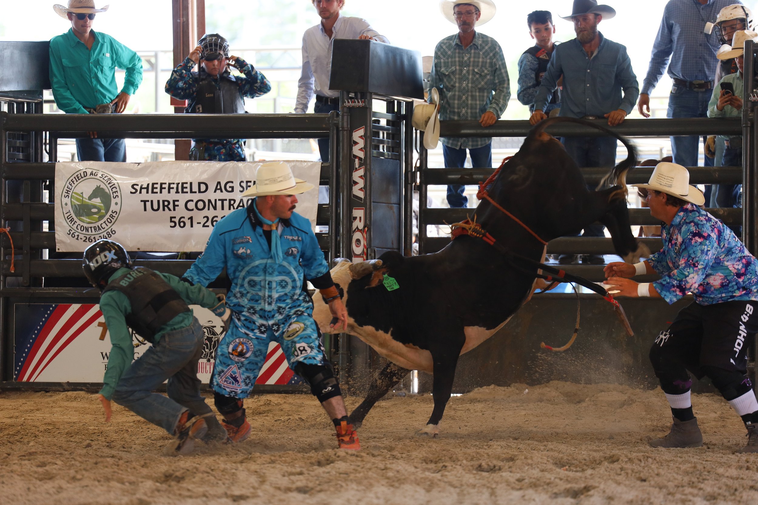 Cowboy and contestant trying to tame a bucking bull at a rodeo, with spectators watching from behind the fence.