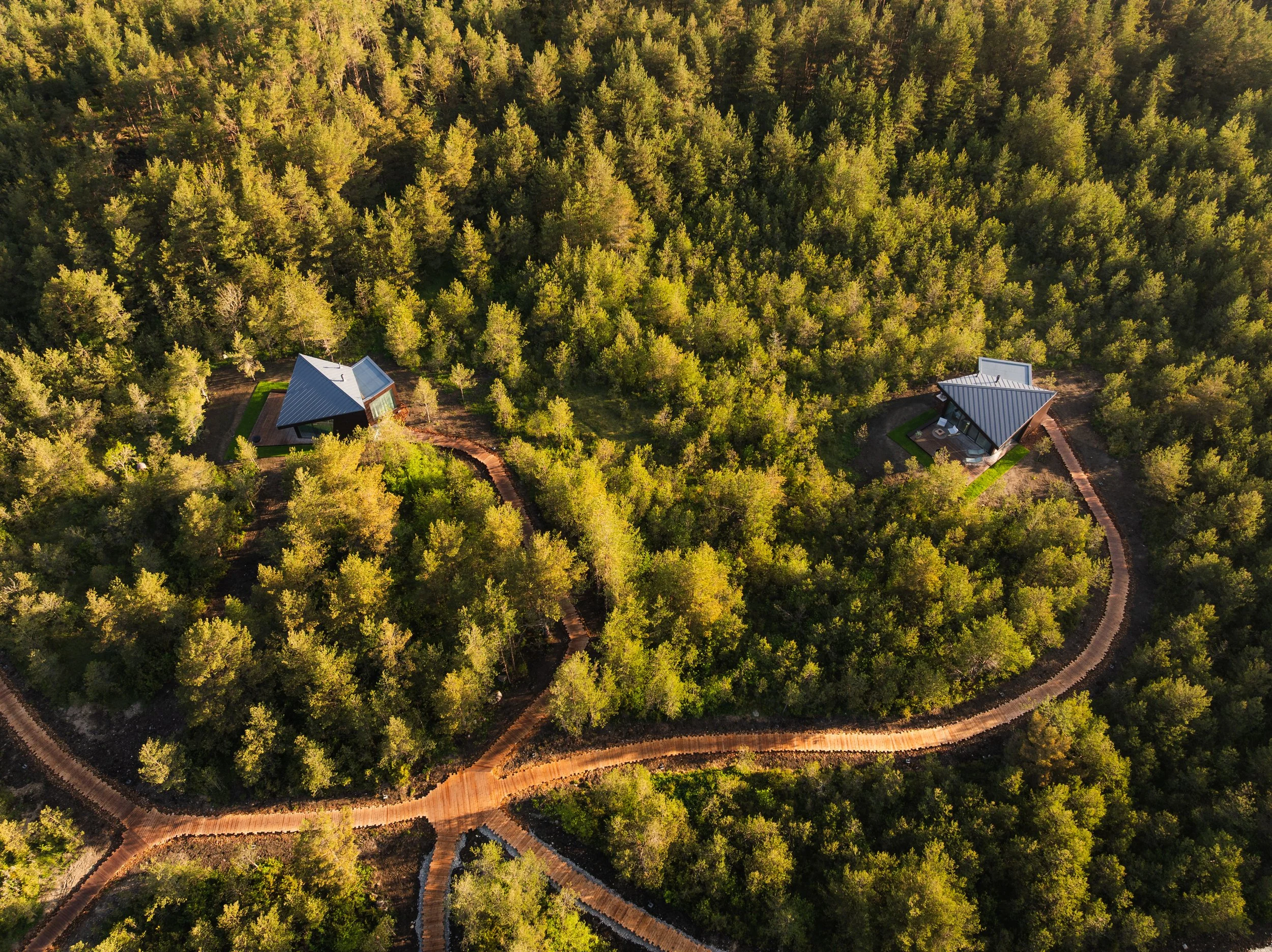 dharma resort 5.jpg