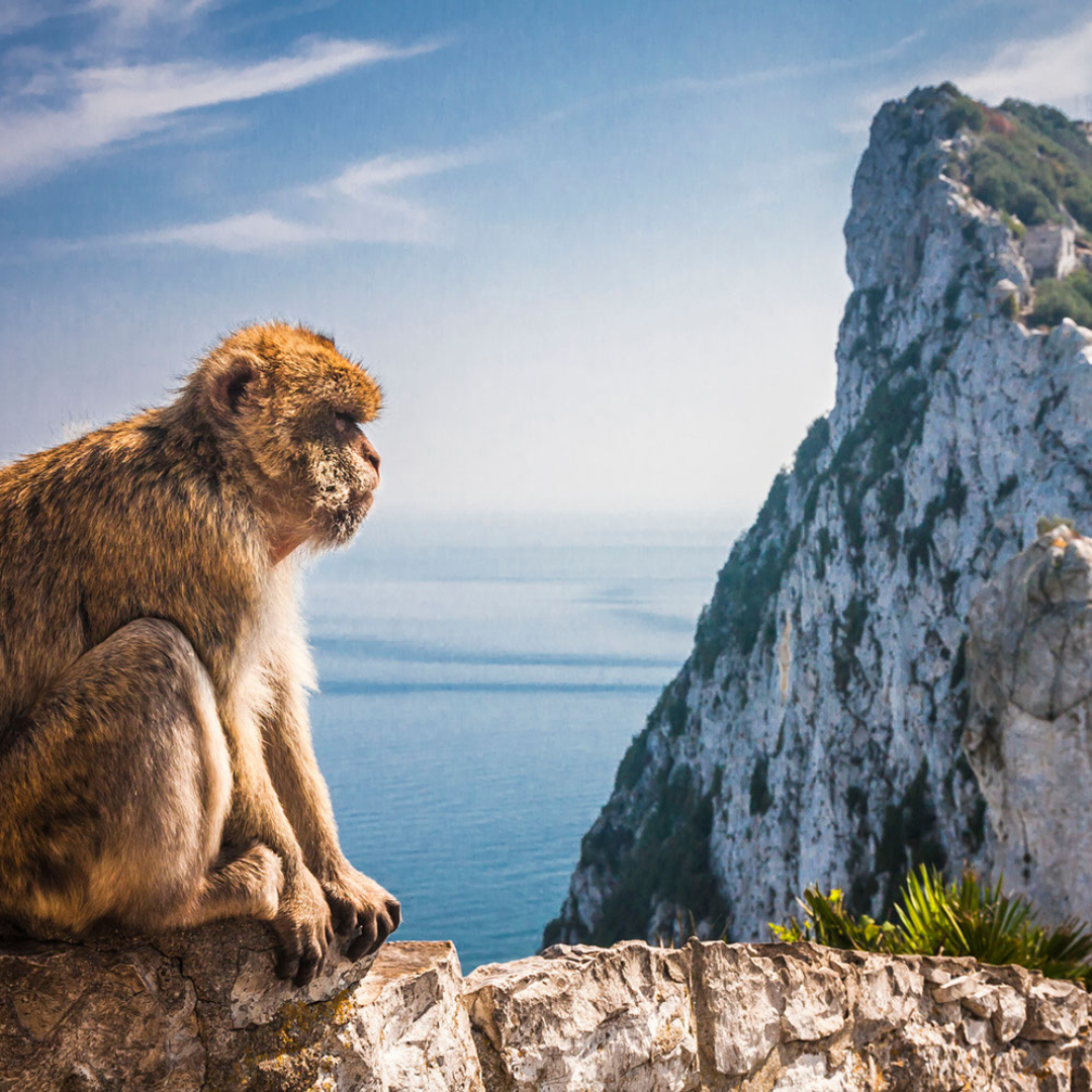 5 Reasons to Consider Moving and Living in Gibraltar — Move