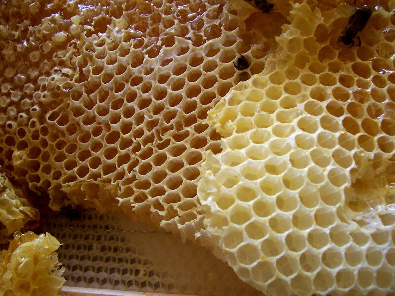 Les fantastiques secrets de la ruche : la cire, la gelée royale et le pollen