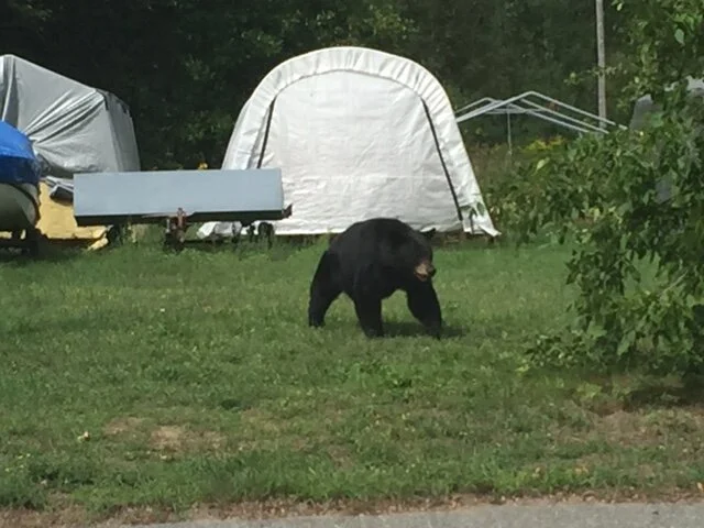 Days 341 and 342 - Anchoring Out