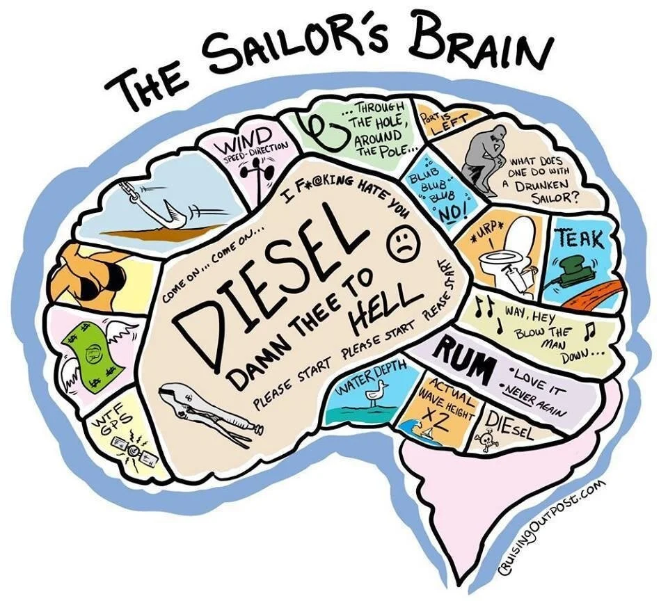 The sailor's brain