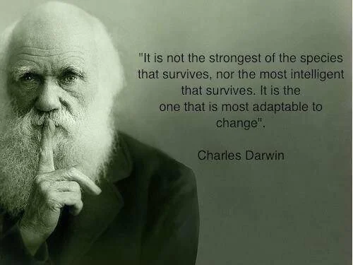 How to survive 40 years at the same company!