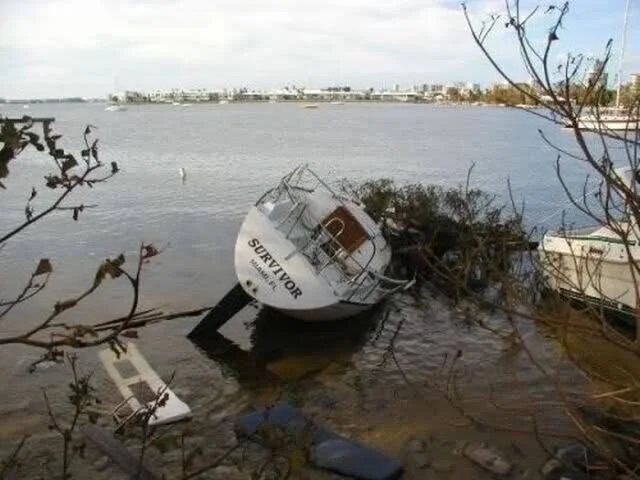 Survivor Runs Aground