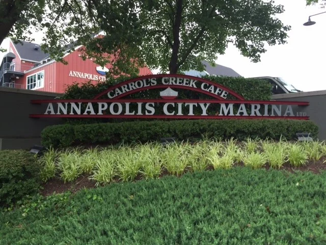 Day 270 - Dragon Boats