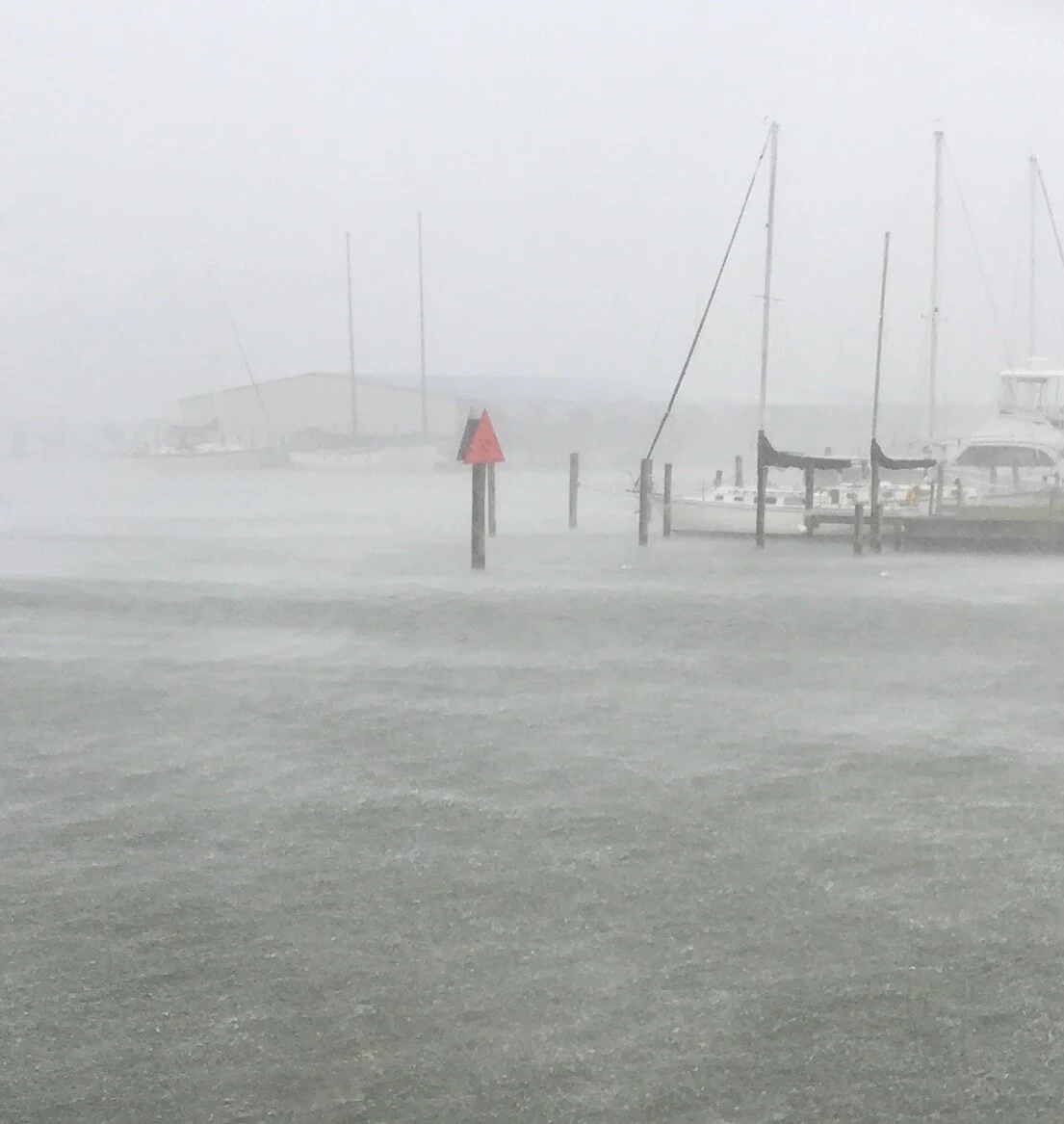 Days 257 and 258 - Liars Bench