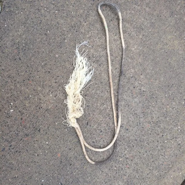 Days 225 - 237 - Leap of Faith - bonus blog page