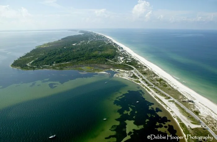 Day 56 - Relaxing and waiting