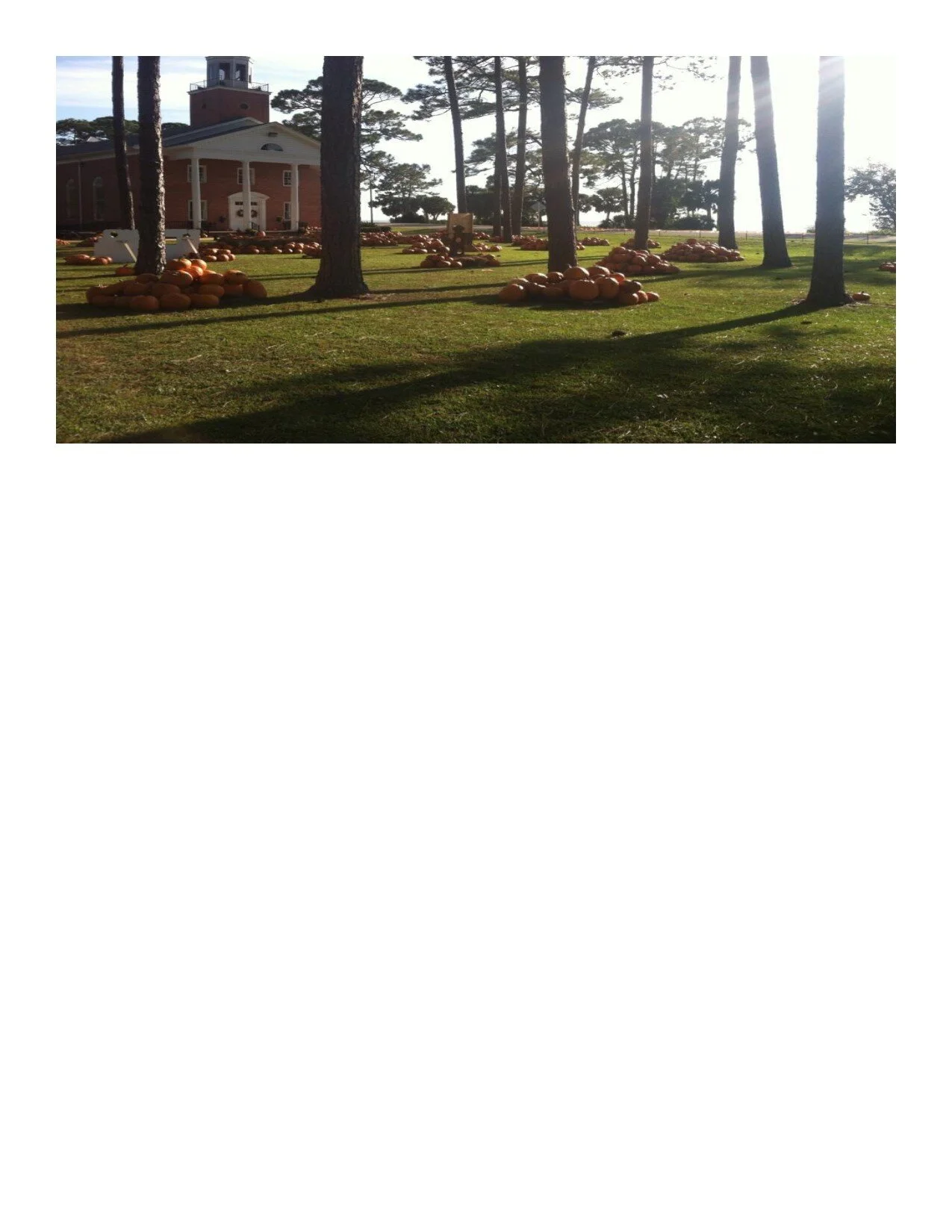 day 59 - what, another surprise?