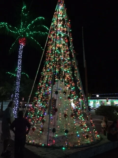 Day 86 - visitors from above