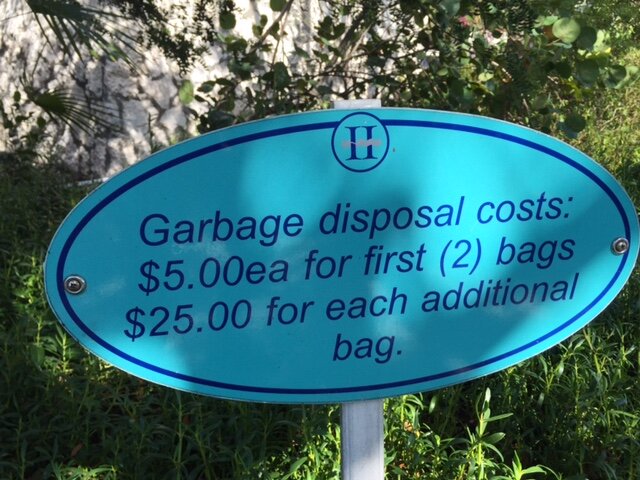 Day - 166 - Turtle Soup