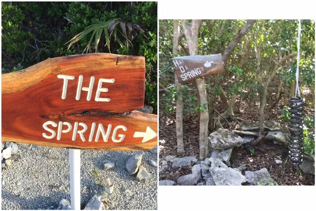 Day 169 - The Spring