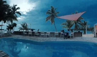 Day 185 - The Golden Bear