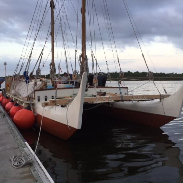 Day 201 - Ogelthorpe