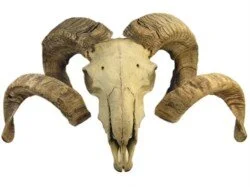 Day 204 - The Big Switch