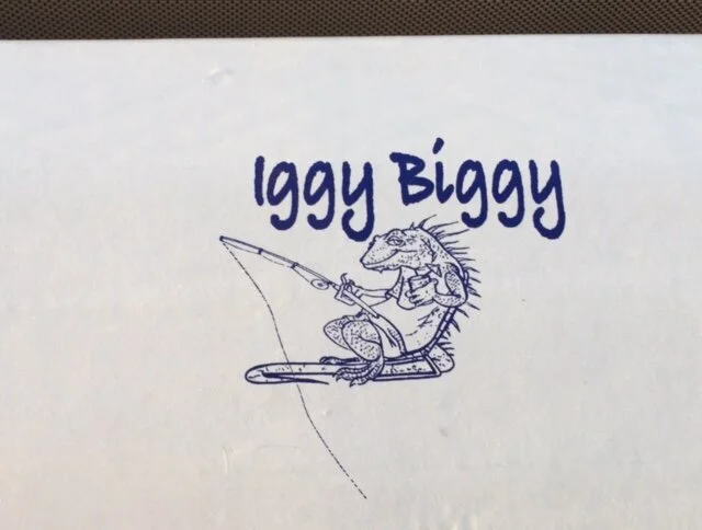 Days 7 &amp; 8 - Iggy Biggy