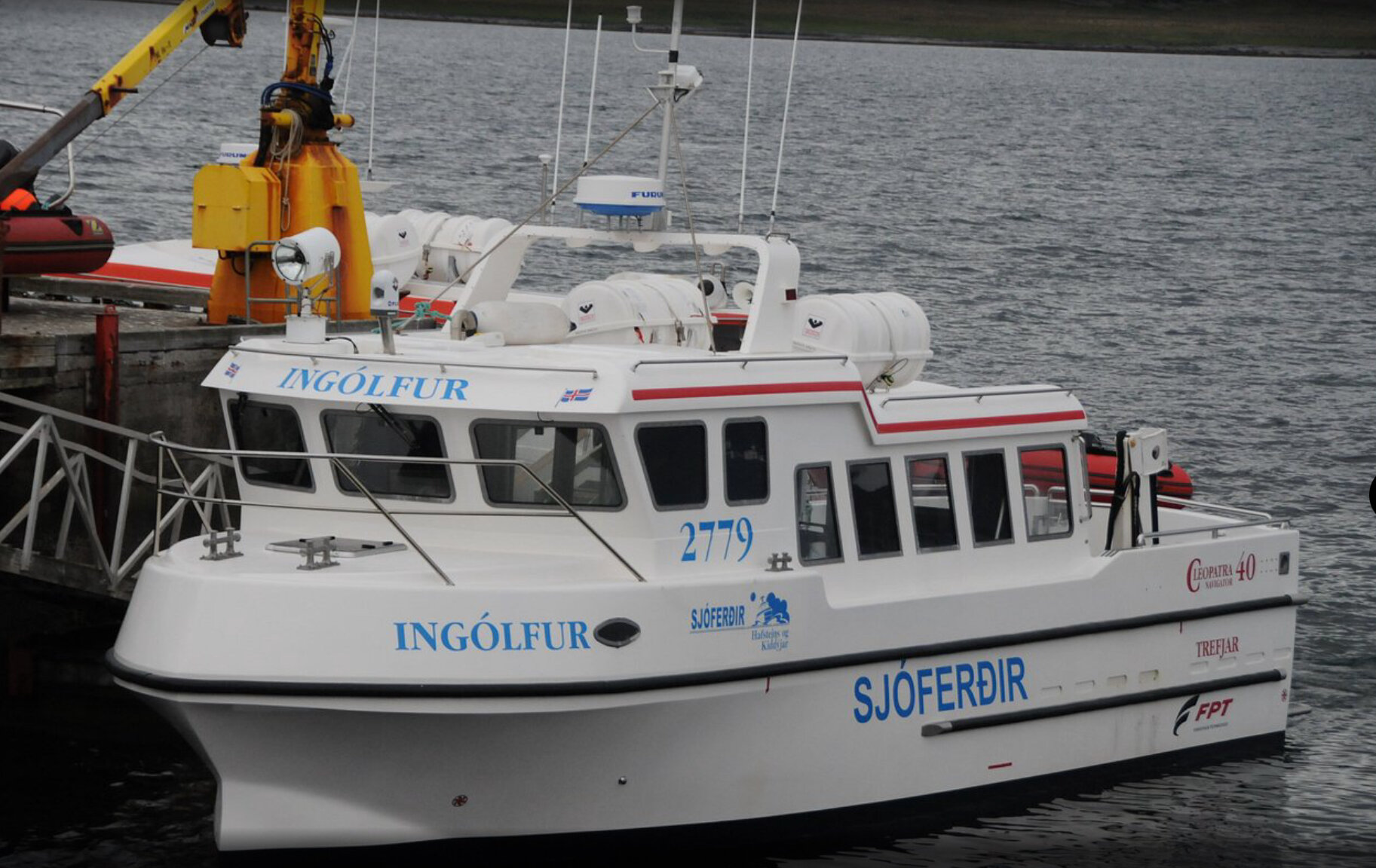 vigur island boat tour