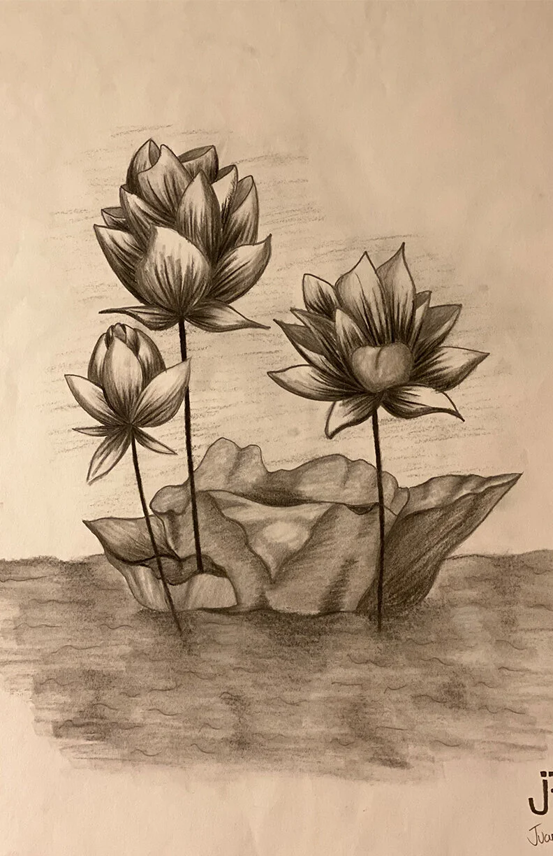 Drawings-1.jpg