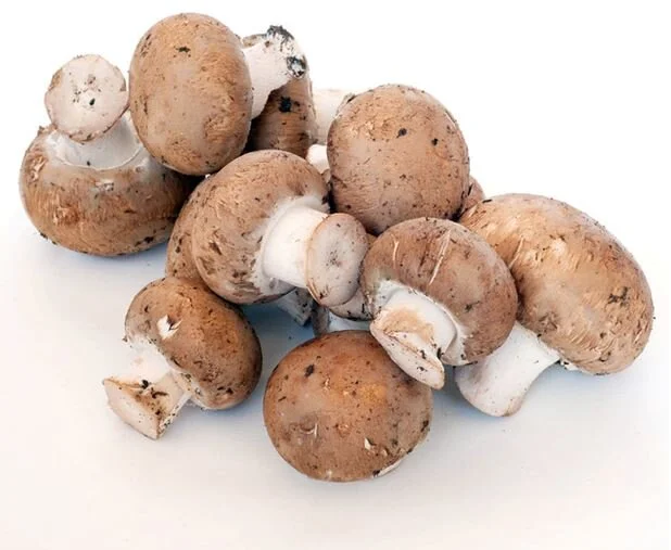 Crimini Mushrooms.JPG