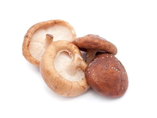 Shitake Mushrooms.JPG