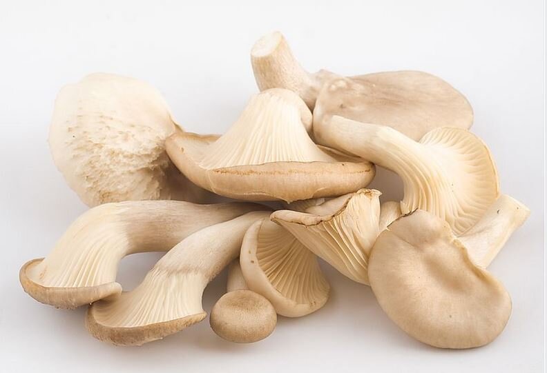 Oyster Mushrooms.JPG