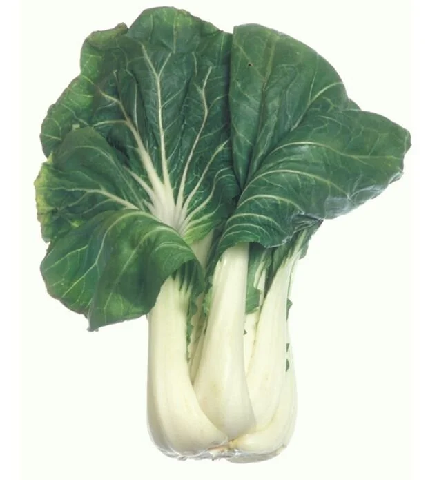 Bokchoy.JPG