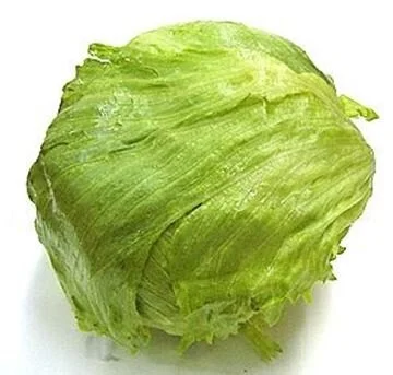 Iceburg Lettuce.JPG