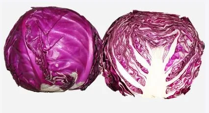 Red Cabbage.JPG