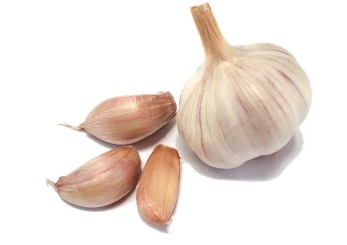 GArlic.JPG