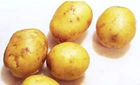 Mini potato.JPG