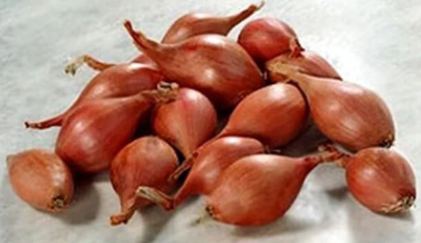 Shallots.JPG