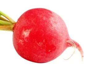 Radish.JPG