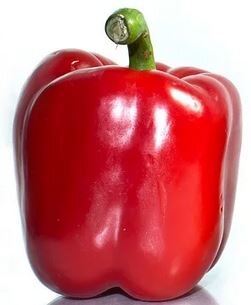 Red Bell Pepper.JPG