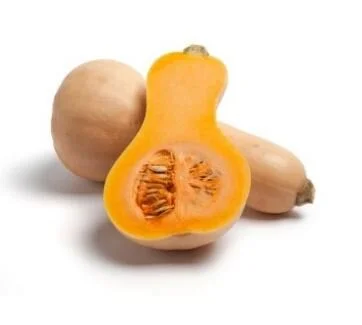 Butternut Squash.JPG