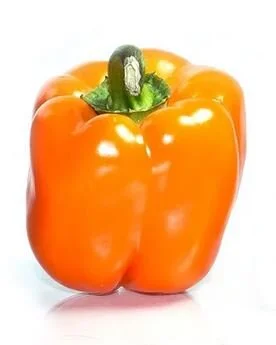 Orange Bell Peppers.JPG