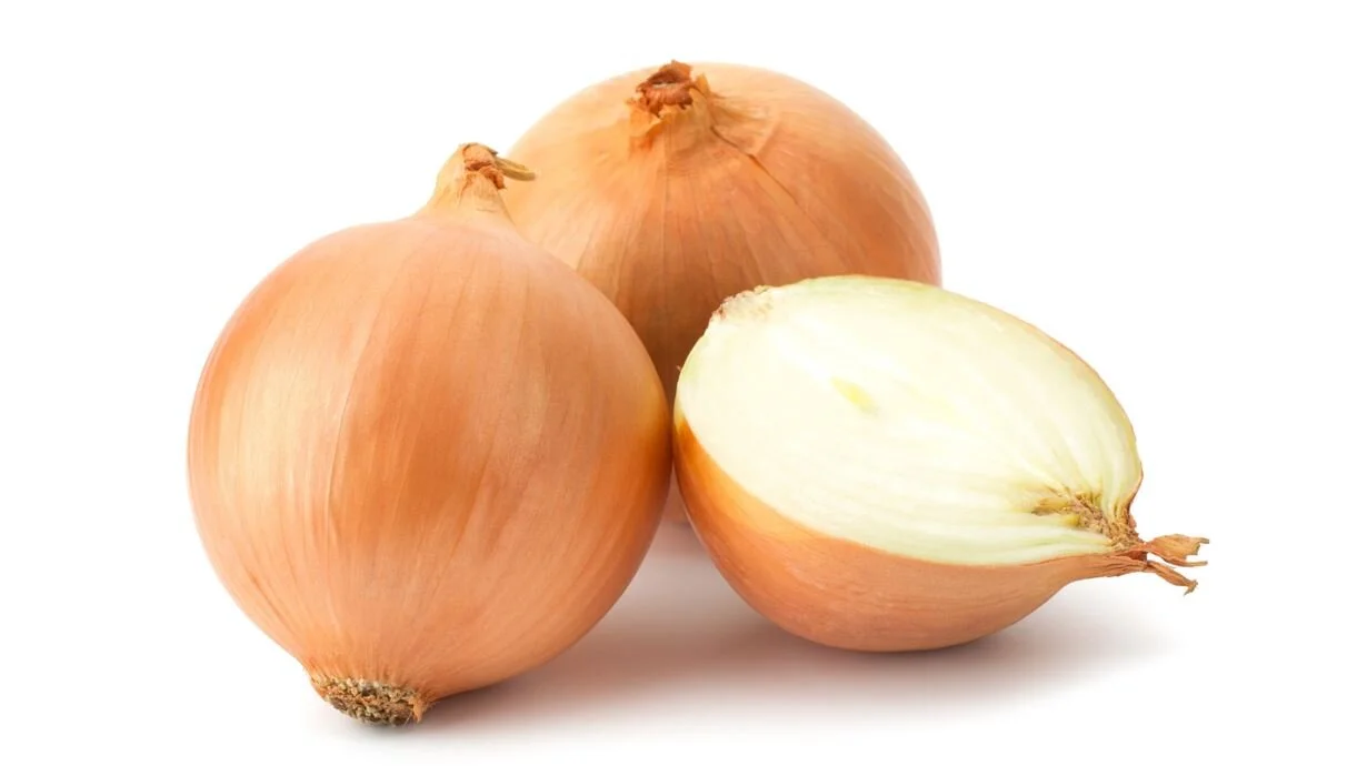 Spanish Onion.JPG