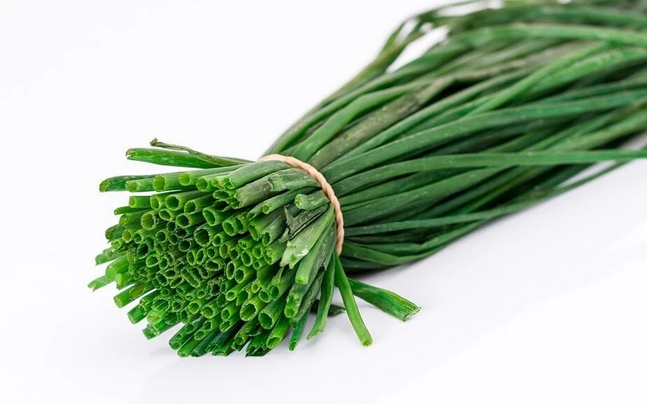 Chives.JPG