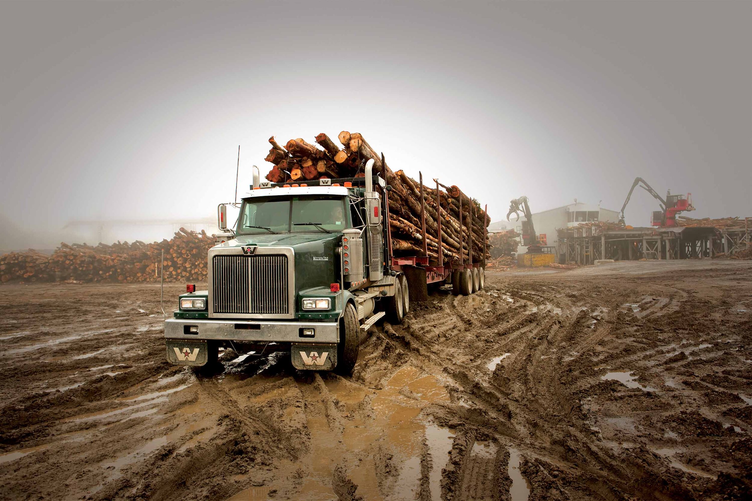 2020-western-star-rebate-for-alc-members-american-loggers-council-i