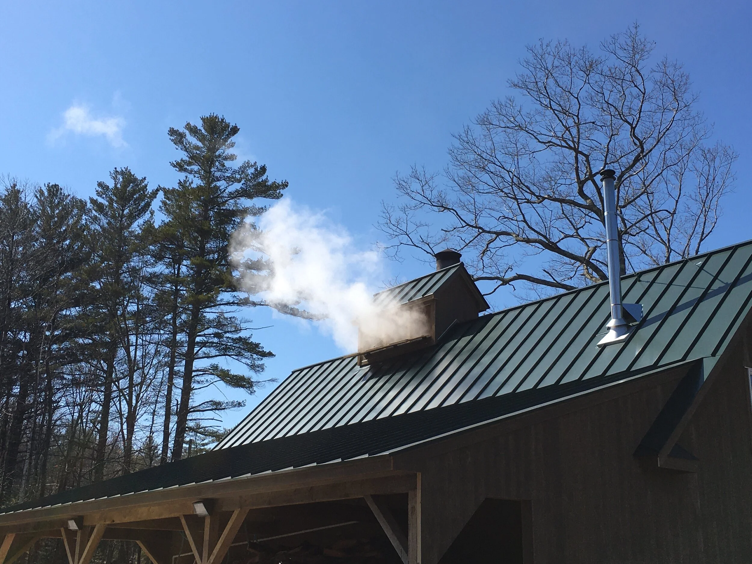 The 2020 Maple Season - Week Two Catch Up