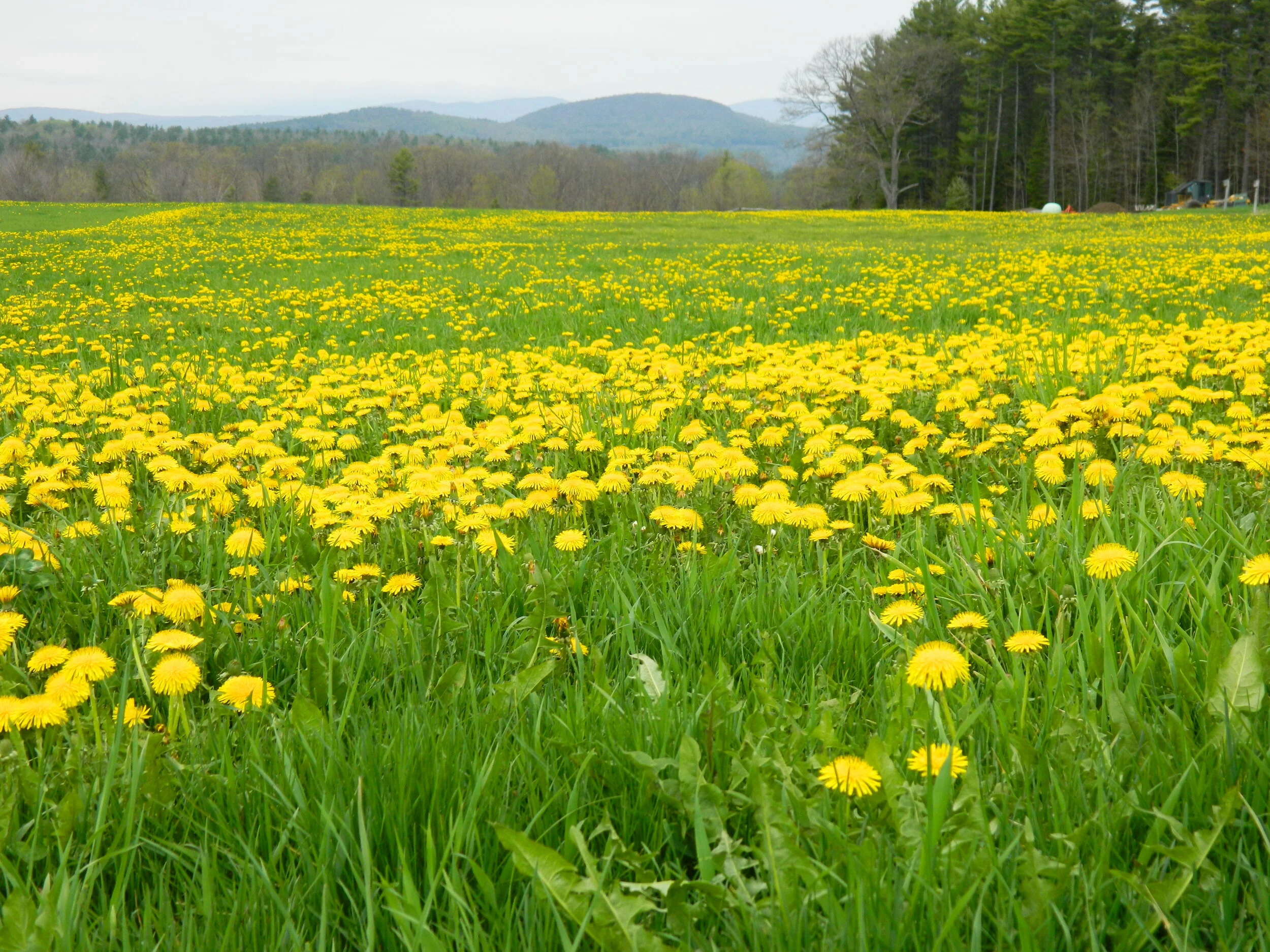 The Transition of Seasons